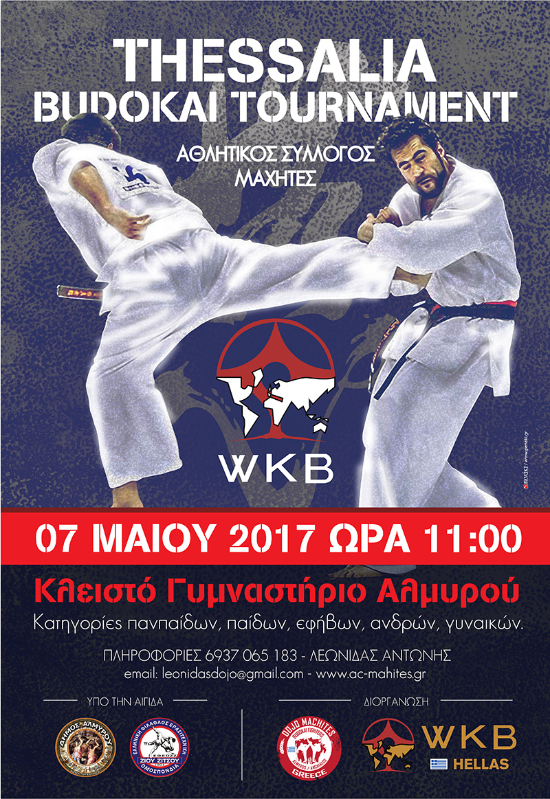 BUDOKAI ΑΓΩΝΕΣ2017