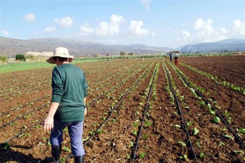 Με ισχυρή παρουσία Αλμυριωτών Βάζει «θεμέλια» η Επιτροπή Εθνικού Αγώνα των Αγροτών Πανελλήνια οργάνωση και κινητοποιήσεις – έκδοση 14-8-2015