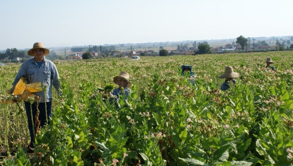 “Η ΕΝΩΣΗ”: Άρχισε η παραλαβή τιμολογίων για την επιστροφή ΦΠΑ 2015