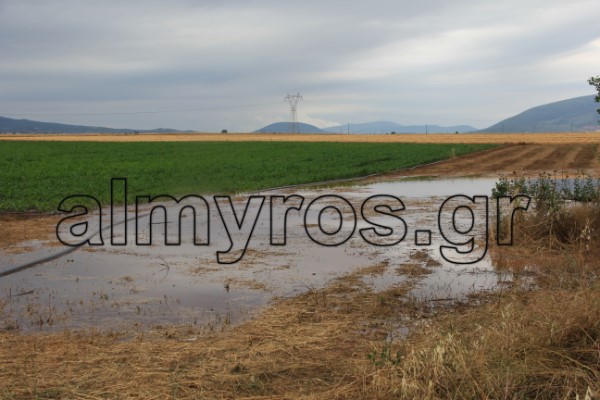 Αλμυρός: Απέχουν οι εκτιμητές του ΕΛΓΑ – Οδηγίες για τους αγρότες