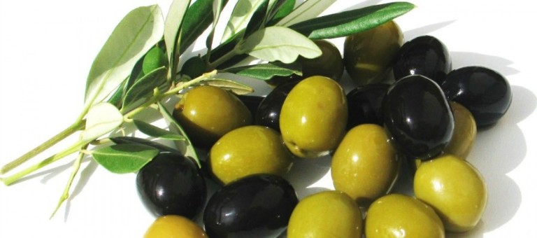 Η ελαιοκαλλιέργεια εκπέμπει σήμα κινδύνου