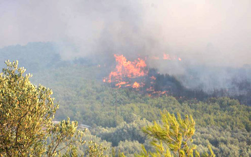 Πύρινα μέτωπα σε Ζάκυνθο, Αρκαδία, Αιτωλοακαρνανία, Ιωάννινα, Ρόδο