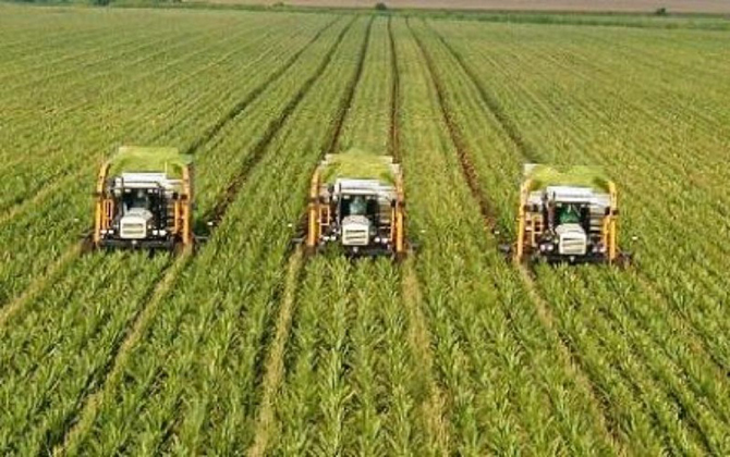 Απαλλαγή από την υποχρέωση της αγρανάπαυσης – Τι προβλέπει η απόφαση της ΕΕ  που αφορά 127.232 γεωργούς