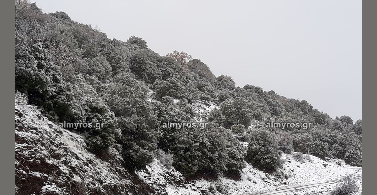 Έπεσε το πρώτο χιόνι σε Ανάβρα-Κωφούς (φωτογραφίες)