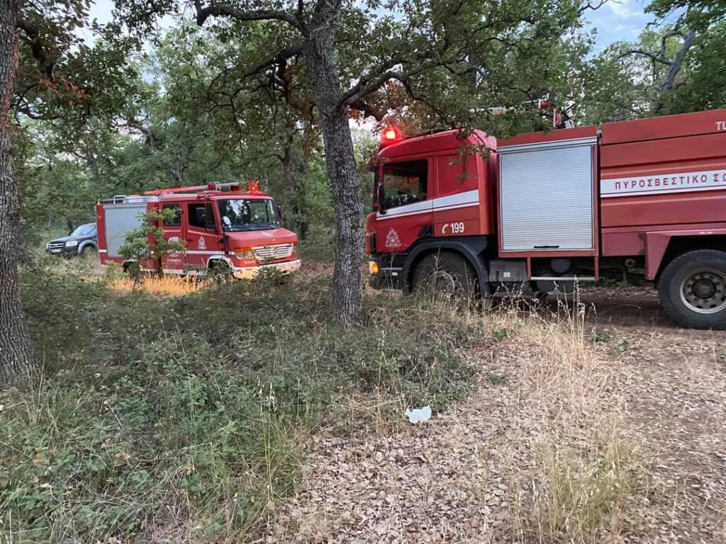 Κινδύνεψαν ελαιόδενδρα από φωτιά στο Κρόκιο