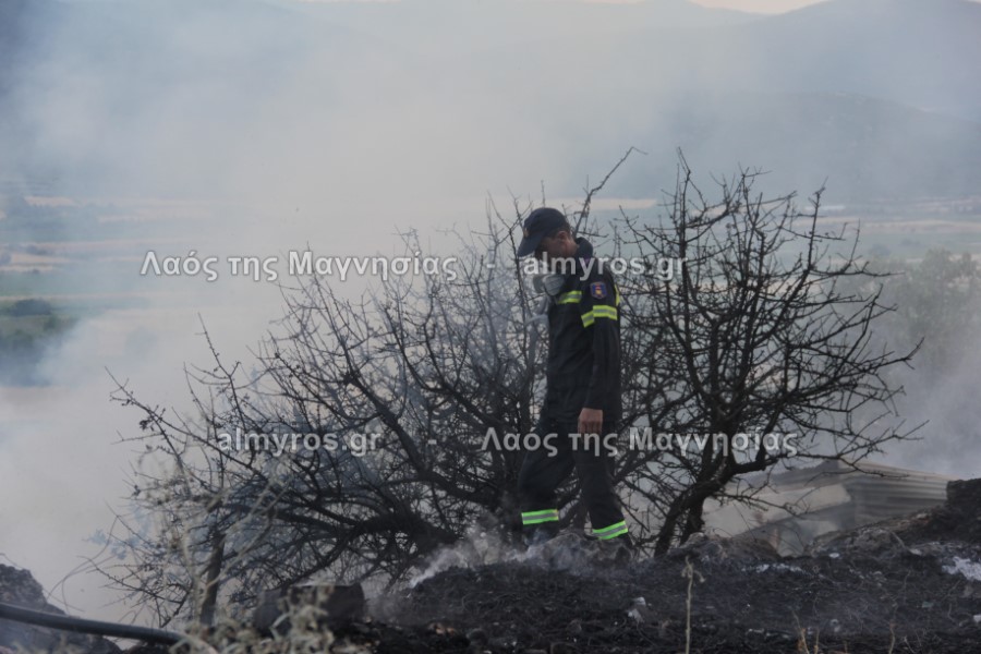 Φωτιά στην περιοχή της Λιμνοδεξαμενής Ξηριά – Έκαψε αθέριστα