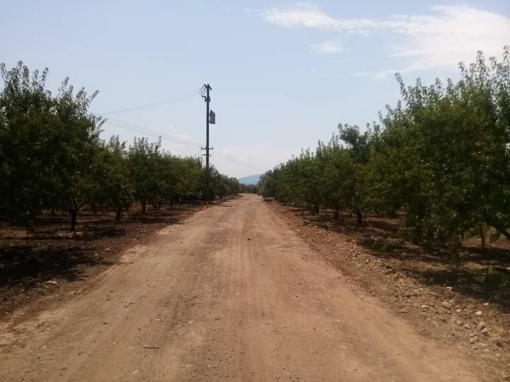 Συνεργασία Λ. Βούλγαρη με προέδρους Κροκίου-Αϊδινίου για αγροτικούς δρόμους