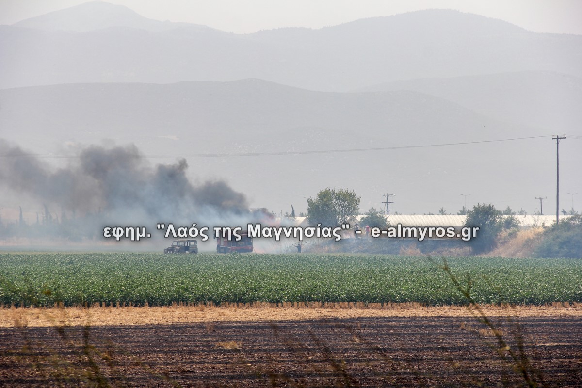 Τα ποσά ενίσχυσης του ΕΛΓΑ ανά καλλιέργεια μετά τις πυρκαγιές