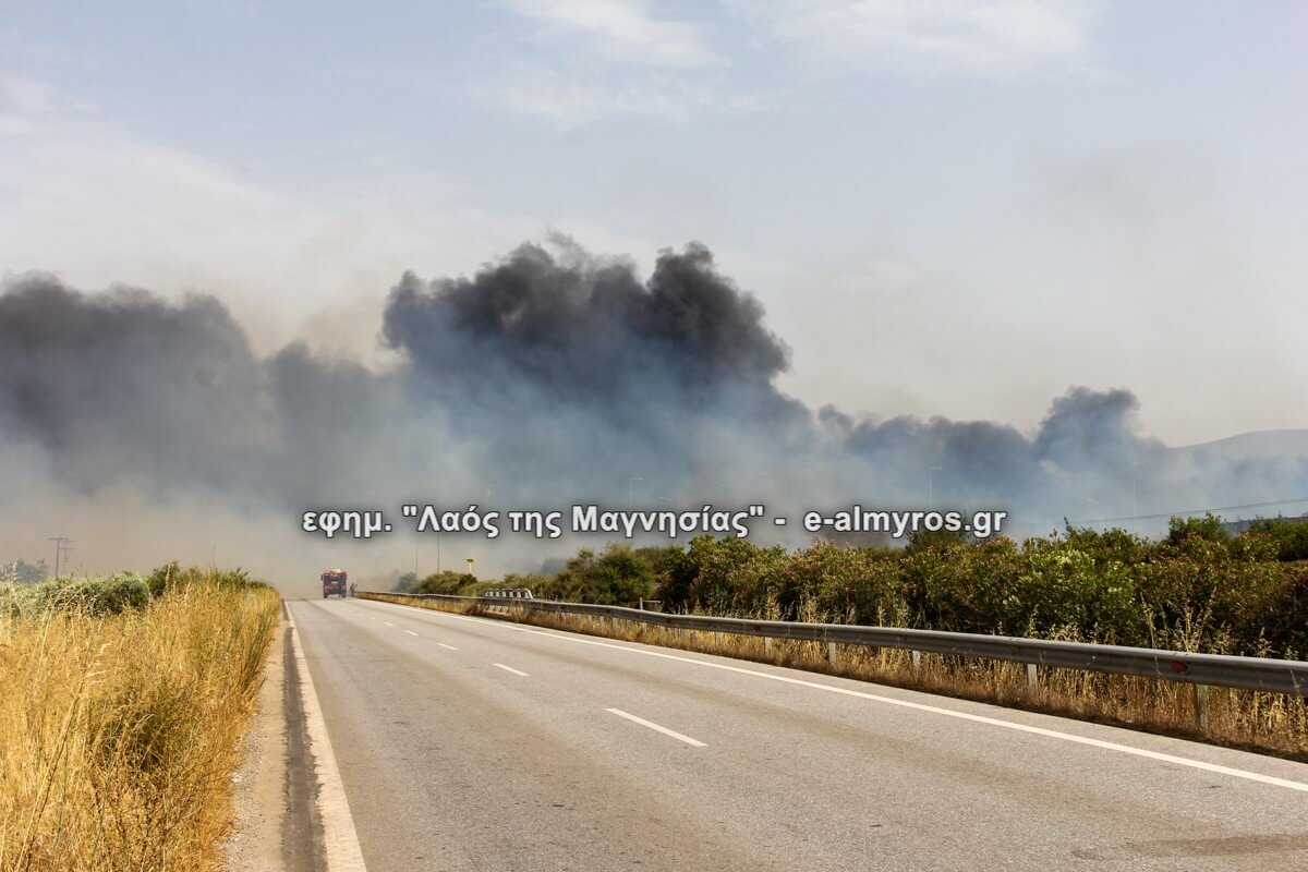 Ζητούμε αρωγή για πιθανές επιμολύνσεις από τις πυρκαγιές – Δ.Τ. 10 επιστημονικών φορέων και συλλόγων Μαγνησίας