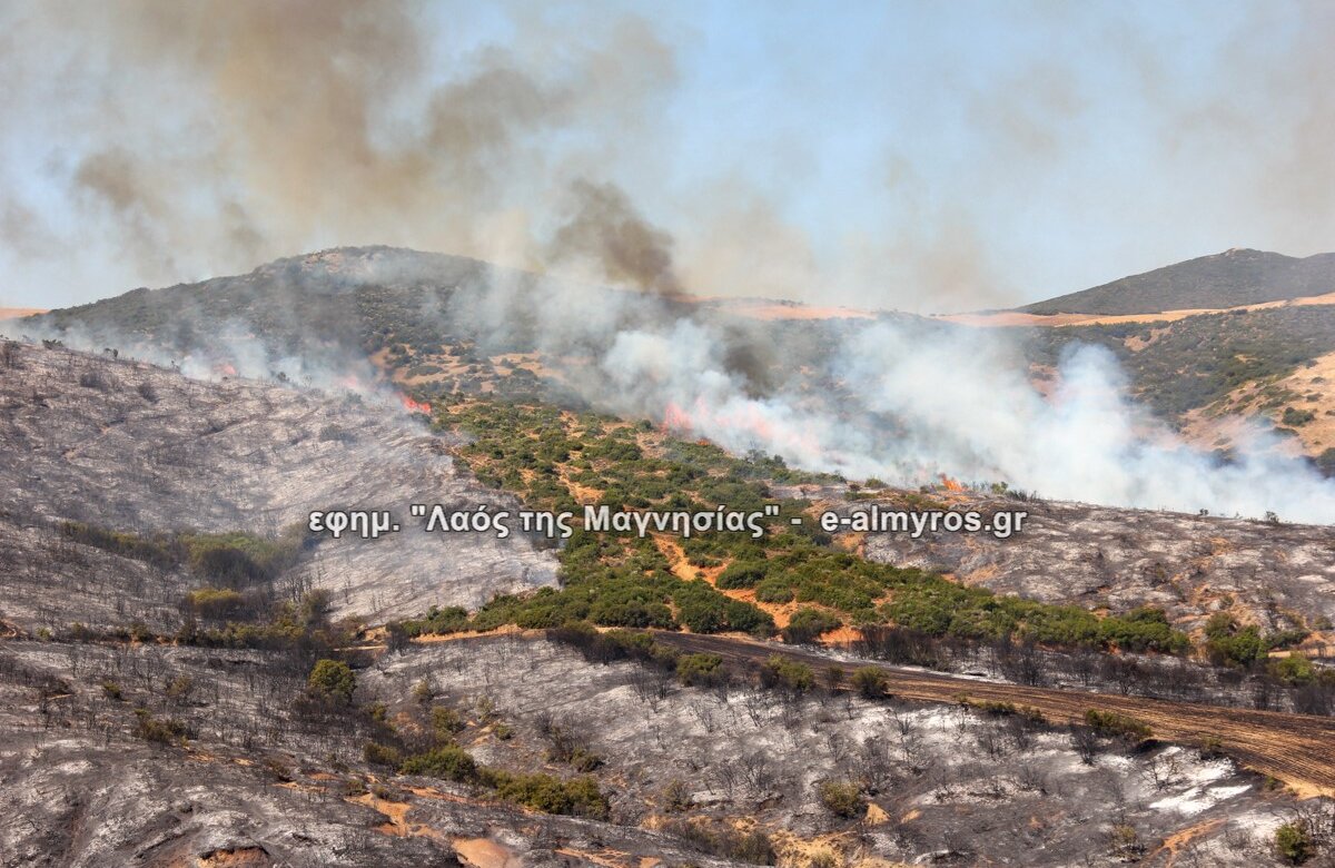 Δ.Τ. του Δήμου Ρήγα Φεραίου για ενέργειες από την 1η μέρα της πυρκαγιάς
