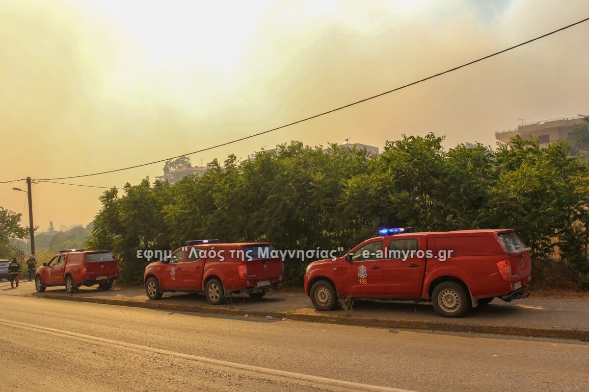 Υψηλός κίνδυνος πυρκαγιάς στη Μαγνησία  – Πρόγνωση για 7 μποφόρ – Ισχύει απαγόρευση κυκλοφορίας σε δάση