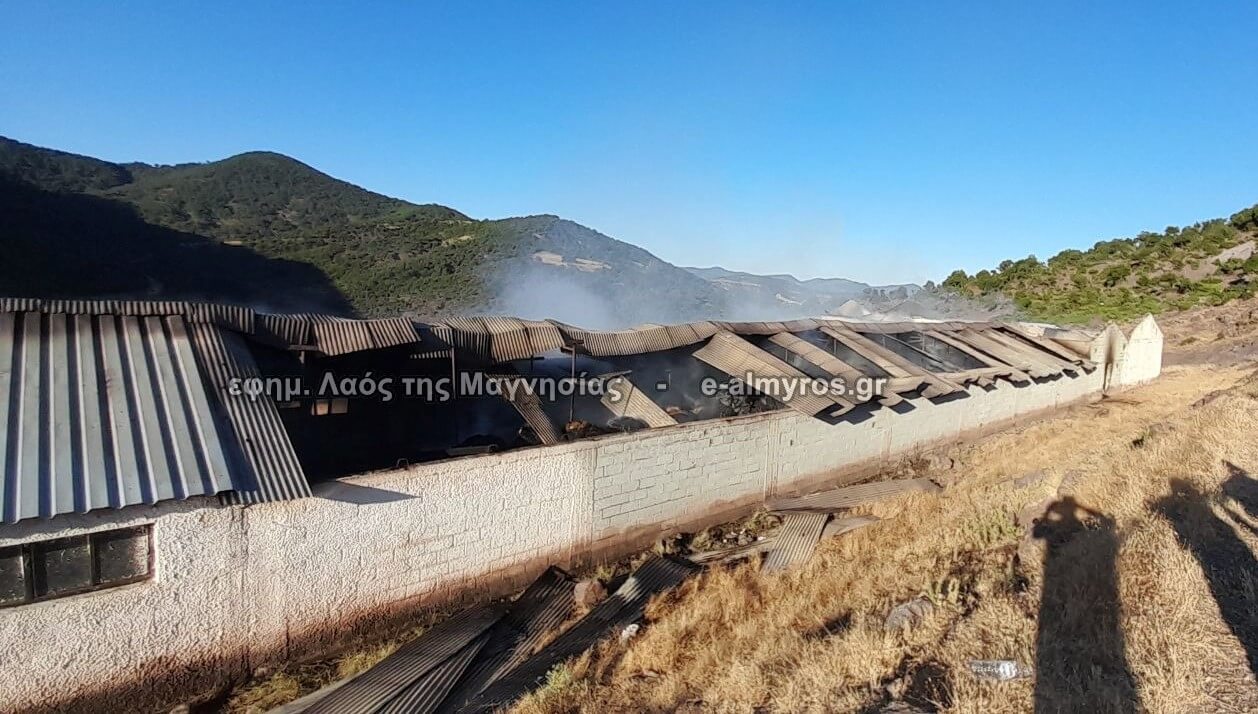 Προς τελική πυρόσβεση η φωτιά σε ποιμνιοστάσιο στην Ανάβρα – Πρώτη εκτίμηση ζημιών