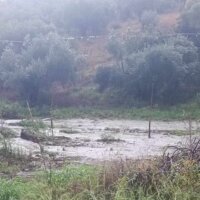 Υποβολή δικαιολογητικών παροχής κρατικής αρωγής για ζημιές σε αγροτικές εκμεταλλεύσεις (πλημμύρες Σεπτεμβρίου)