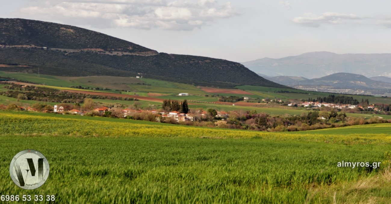 Καταγγελία για τρία περιστατικά τραυματισμού κατοίκων στο Αργιλοχώρι από επιθέσεις αδέσποτων ζώων