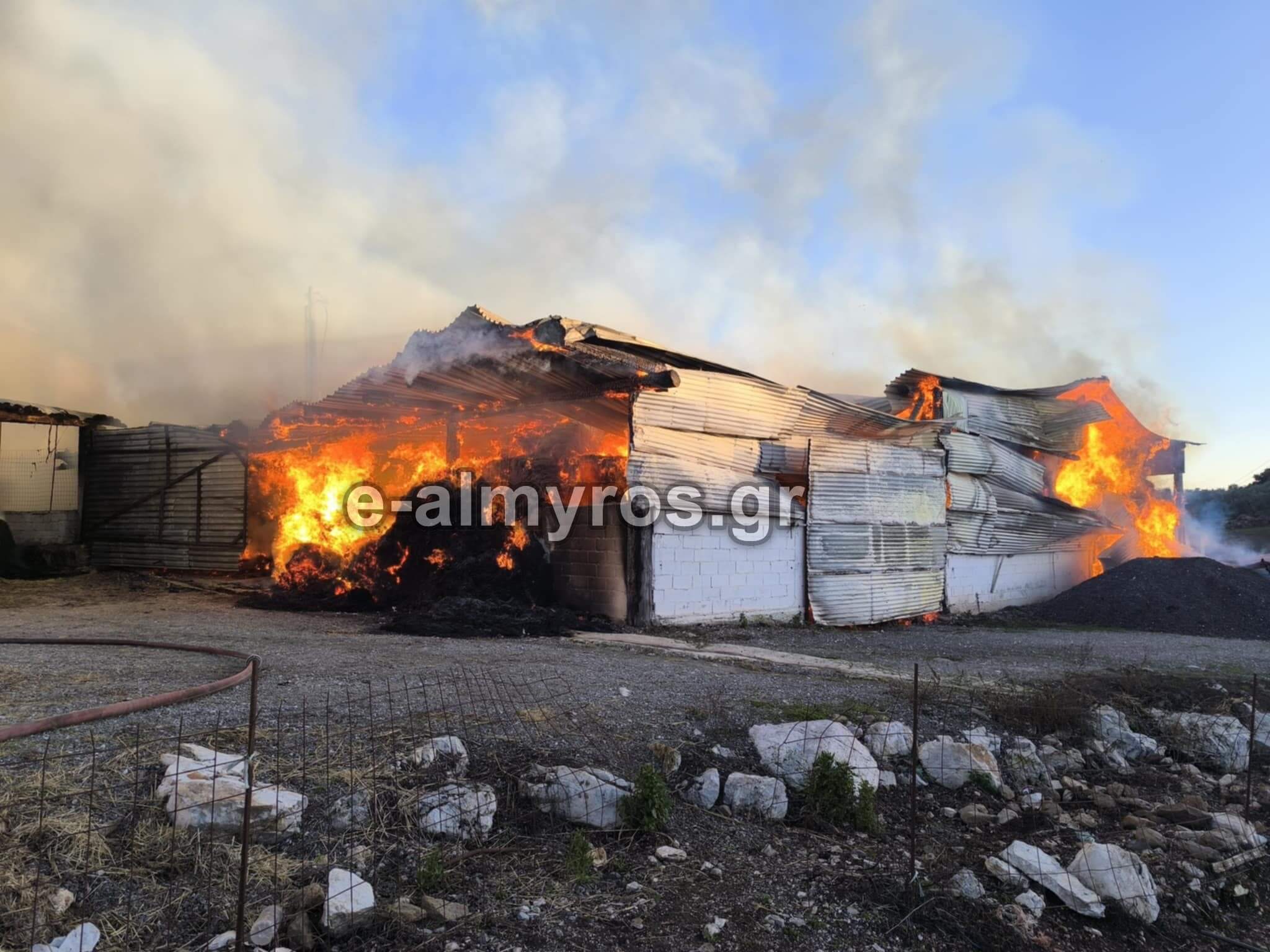 Μεγάλη φωτιά σε κτηνοτροφική μονάδα στο Αχίλλειο – φωτο