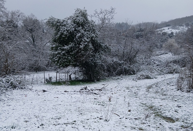 Χιονόπτωση, αλλά όχι χιονόστρωση, στον Πτελεό