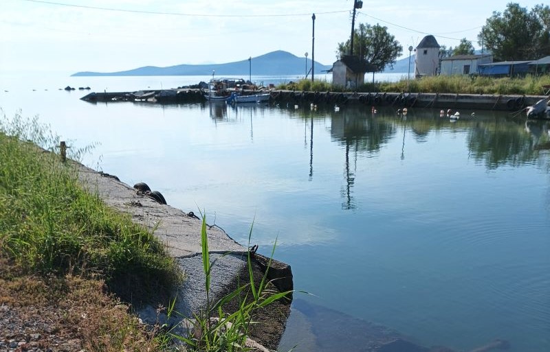 Νέο Δ.Σ. στον Σύλλογο Ερασιτεχνών Αλιέων ο «Άη Γιάννης»