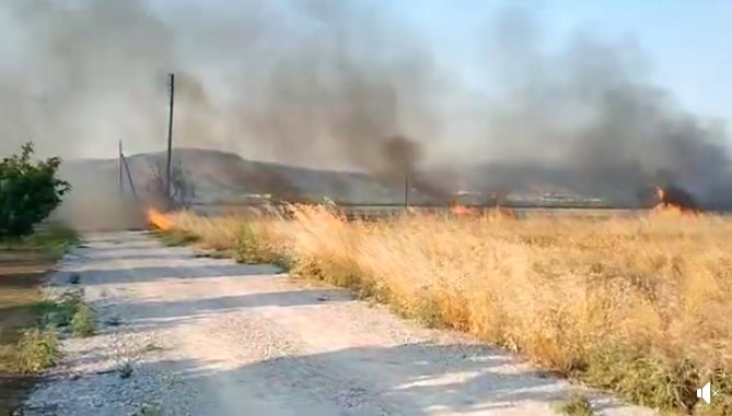 Μεταμεσονύχτια φωτιά στο δάσος Κουρί, μεγάλη κινητοποίηση στην Δημητριάδα