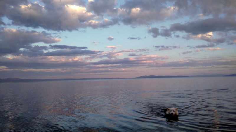 Κατάλληλα τα νερά κολύμβησης στις ακτές του Δήμου Βόλου