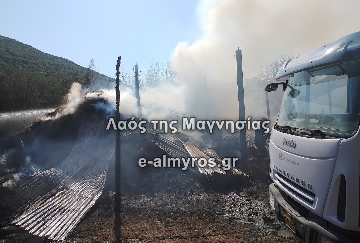 Φωτιά σε ποιμνιοστάσιο – Κάηκαν ζώα