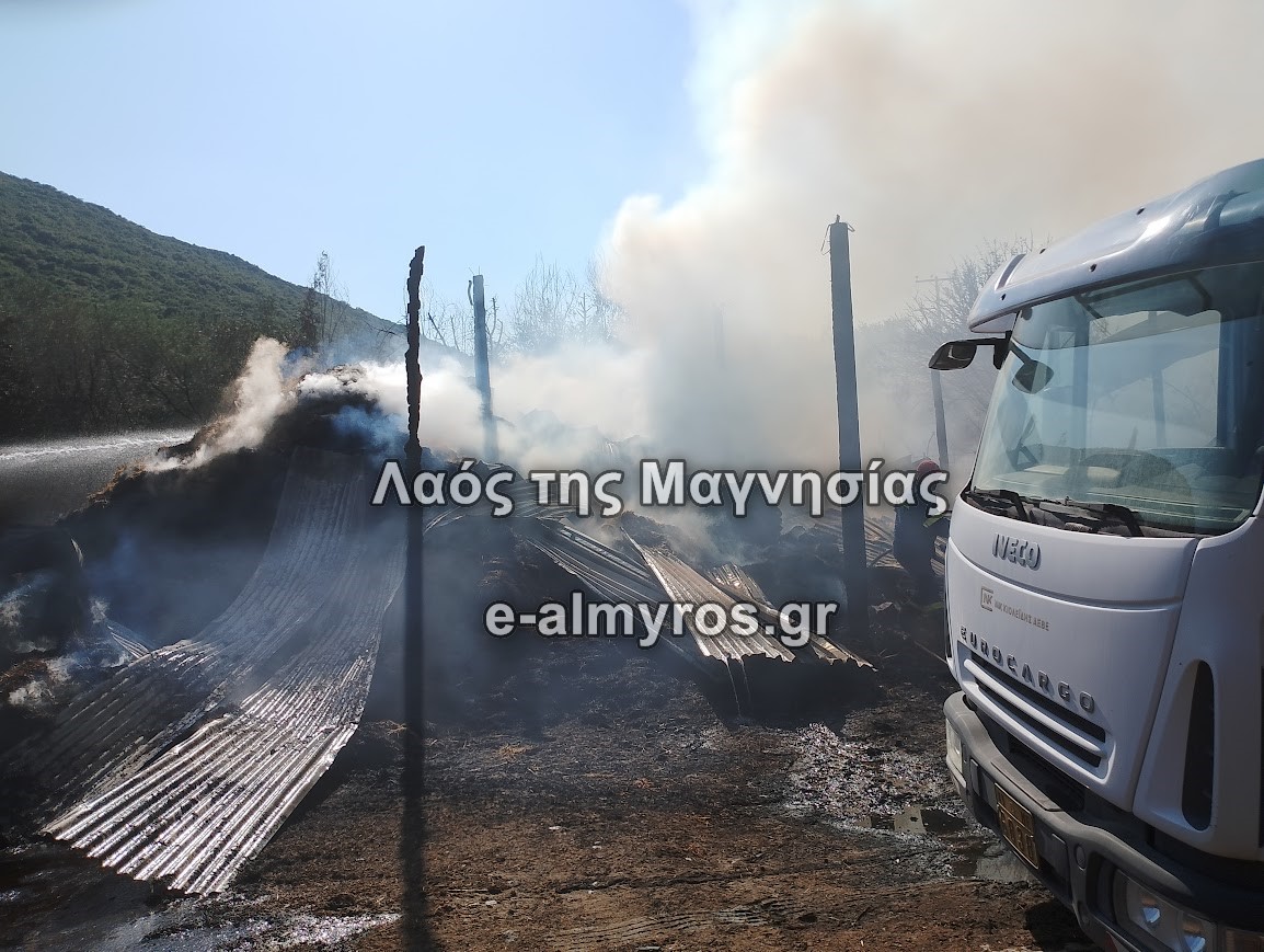 Φωτιά σε ποιμνιοστάσιο – Κάηκαν ζώα