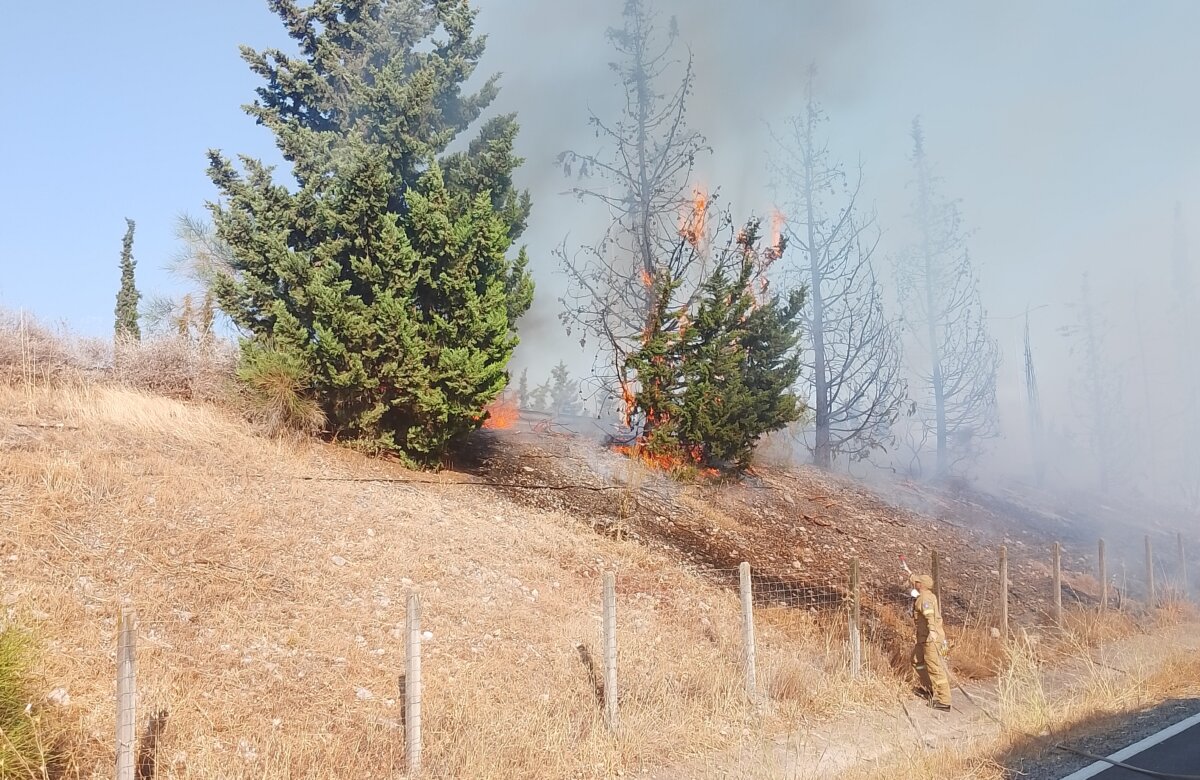 Φωτιά σε νταλίκα στην Εθνική στο ύψος”Παυλίδη”