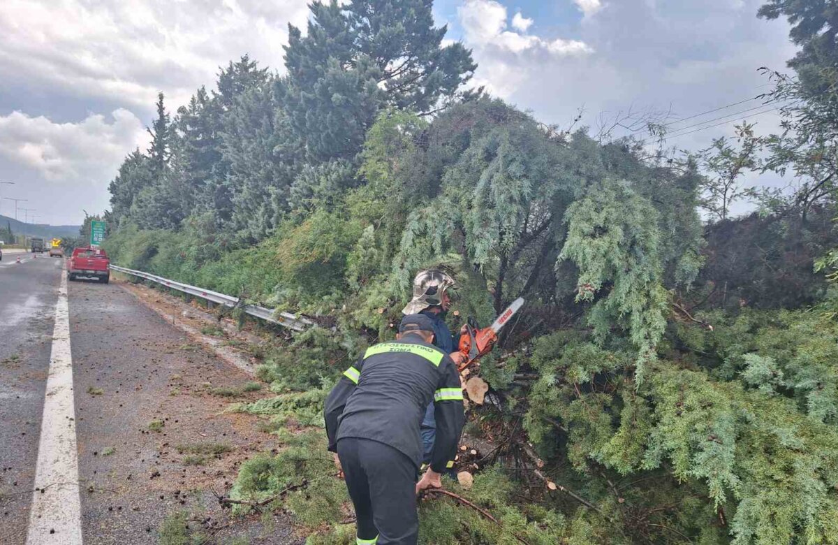 Ο λυσσασμένος αέρας έσπασε δένδρα σε Αλμυρό και ΠΑΘΕ