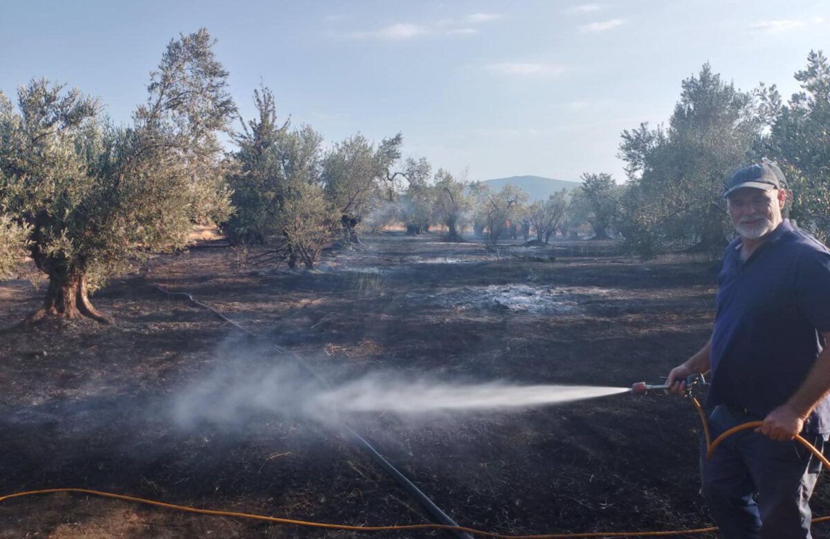 Άμεσες ενέργειες για πυρόσβεση φωτιάς στα Δίχαλα στον Πτελεό – Ειδοποίηση …και από θαλάσσης