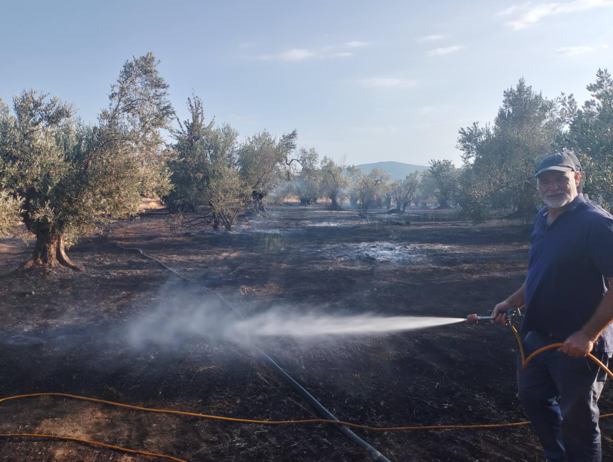 Άμεσες ενέργειες για πυρόσβεση φωτιάς στα Δίχαλα στον Πτελεό – Ειδοποίηση …και από θαλάσσης