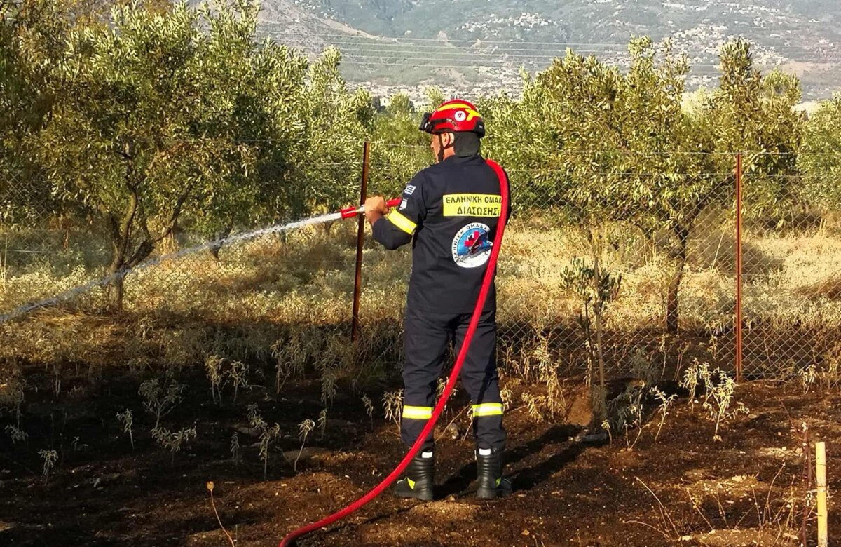 Φωτιά σε ελαιοπερίβολα στην περιοχή “Προσκύνημα”