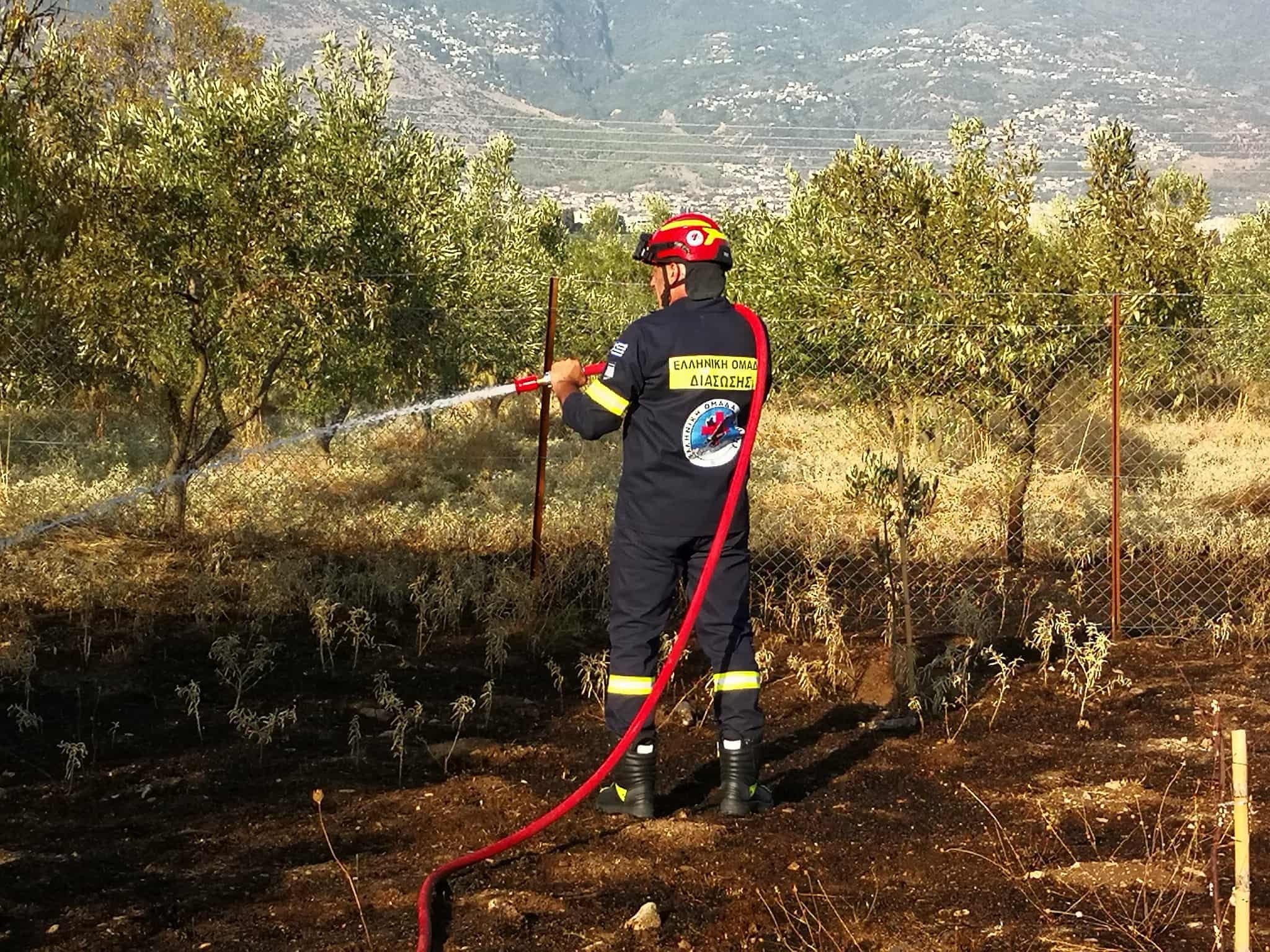 Φωτιά σε ελαιοπερίβολα στην περιοχή “Προσκύνημα”