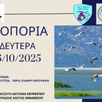 Πεζοπορία στη Λίμνη Κάρλα τη Δευτέρα 6 Οκτωβρίου από τον Δήμο Ρήγα Φεραίου