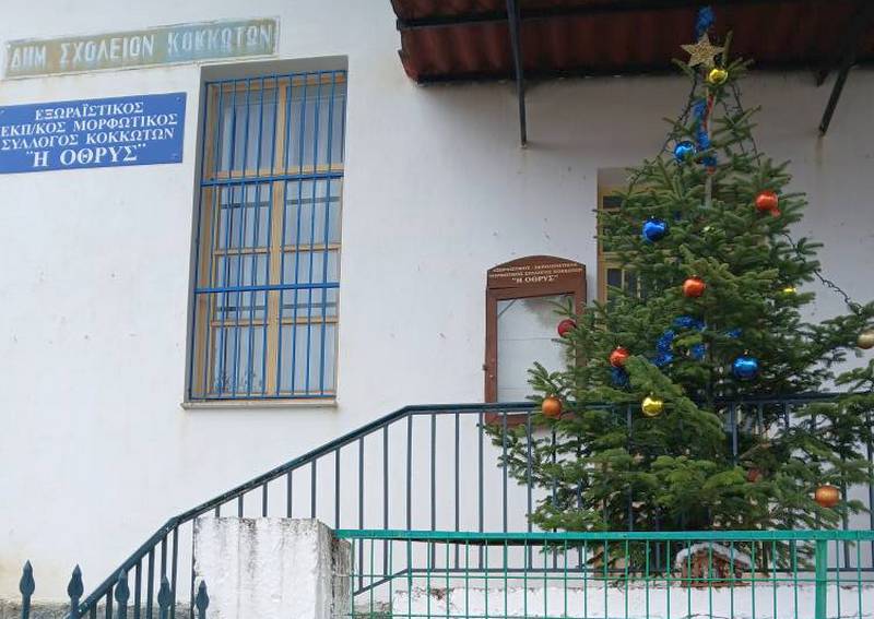 Στόλισαν το Χριστουγεννιάτικο δένδρο στους Κοκκωτούς τα μέλη του τοπικού συλλόγου