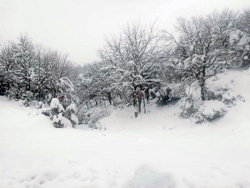 Μηχανήματα της Περιφέρειας και του Δήμου κρατούν ανοικτό τον δρόμο προς την Ανάβρα και τα μαντριά