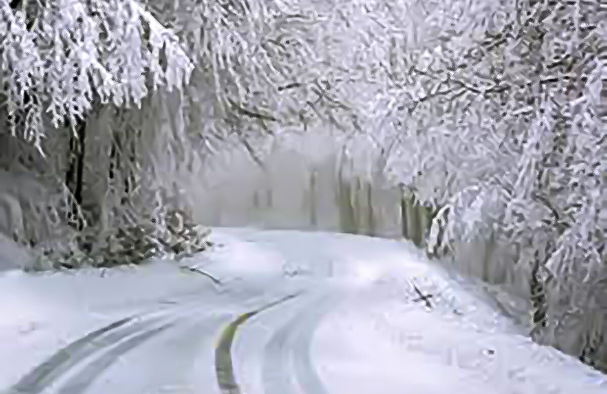 Συστάσεις του Δήμου Αλμυρού στους πολίτες ενόψει ισχυρών βροχών, καταιγίδων & χιονοπτώσεων