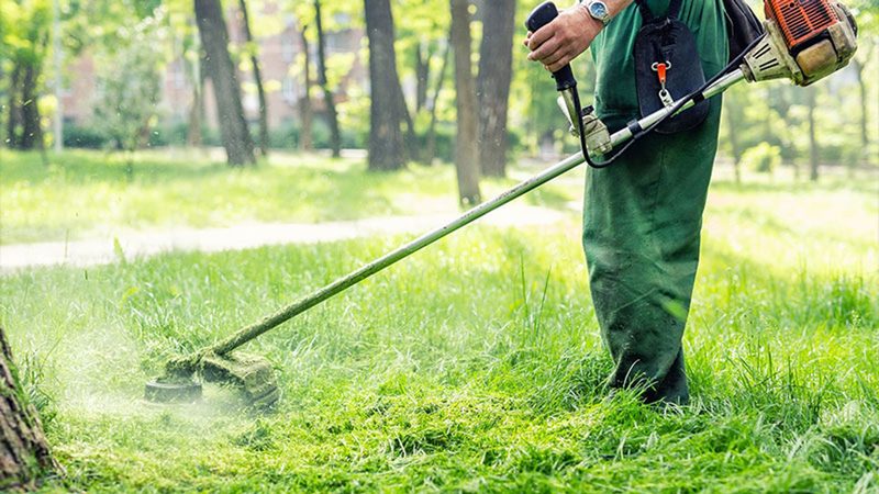 Παράταση της προθεσμίας καθαρισμού και υποβολής δήλωσης οικοπέδων έως 22/6 – Ενημέρωση Δήμου Αλμυρού