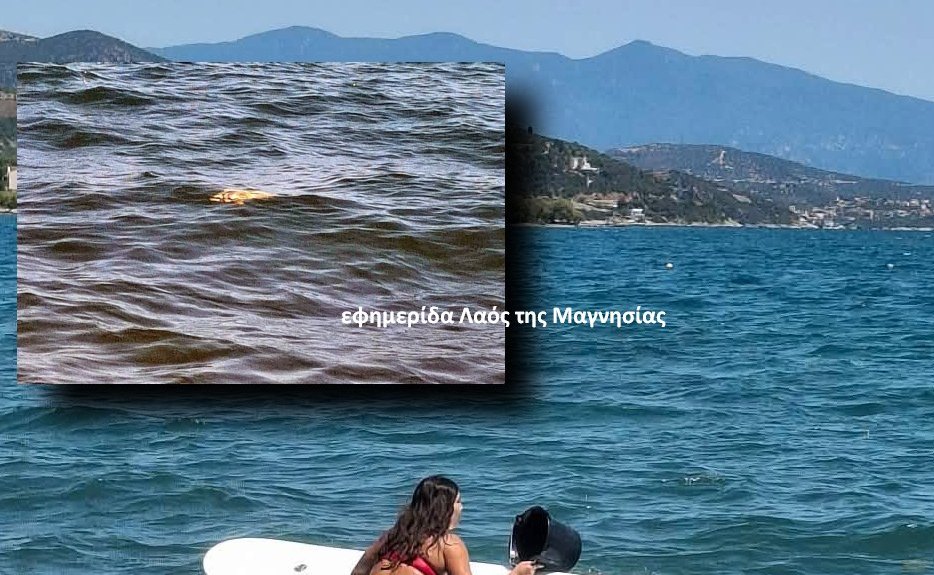 Σκορπίνες …σκόρπισαν πανικό στην παραλία Ν. Αγχιάλου