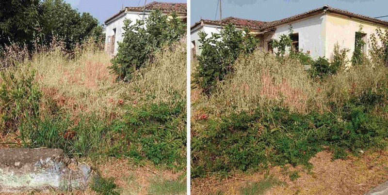 Καταγγελία Αθ. Χριστοδούλου για ακαθάριστο οικόπεδο της ΤΚ Πλατάνου – Η απάντηση του προέδρου της ΤΚ