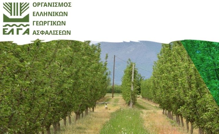 Δημοσιεύθηκαν οι καταστάσεις παραγωγών για αποζημιώσεις Daniel-Elias και πυρκαγιές 2023