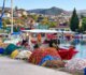 Δραματική προειδοποίηση αλιέων: «Σε δύο χρόνια δεν θα υπάρχει καΐκι στον Παγασητικό»
